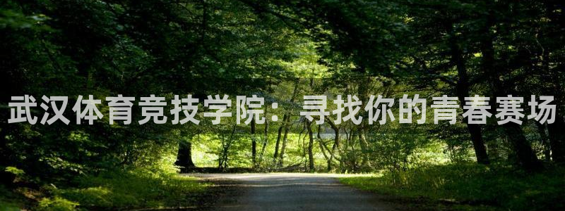 9球皇后：武汉体育竞技学院：寻找你的青春赛场