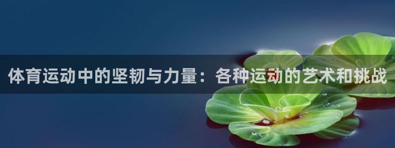 球皇nba体育在线直播：体育运动中的坚韧与力量：各种运动的艺术和挑战