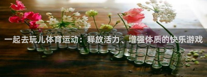 球皇社下载官网：一起去玩儿体育运动：释放活力、增强体质的快乐游戏