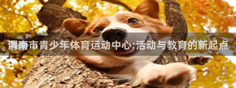 球皇看球：渭南市青少年体育运动中心:活动与教育的新起点